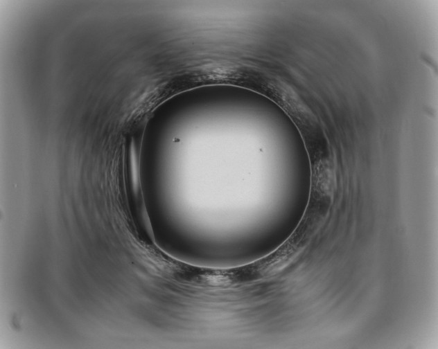 X0000096940509200802081209