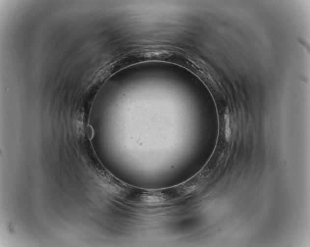 X0000096940510200802081209