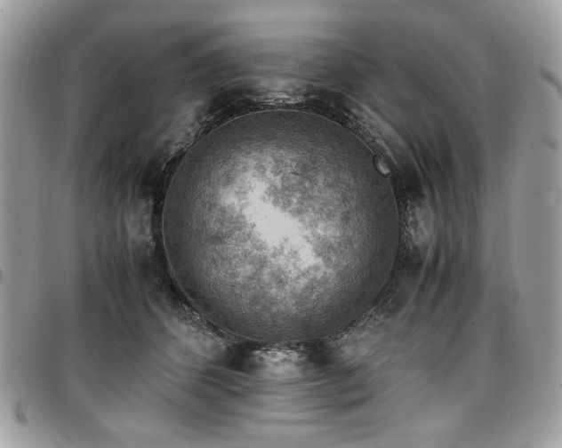 X0000096940512200802081209