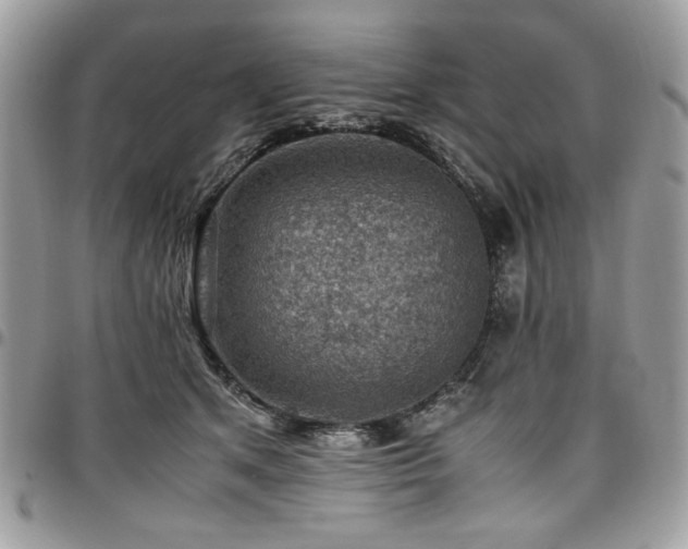 X0000096940513200802081209