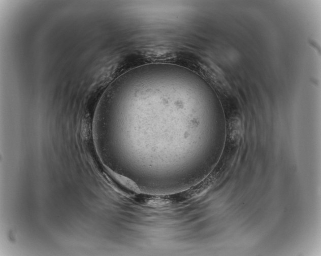 X0000096940515200802081209