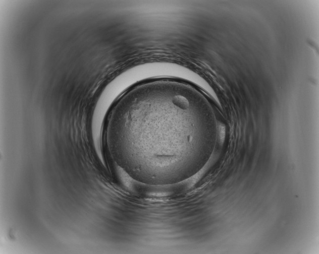 X0000096940516200802081209