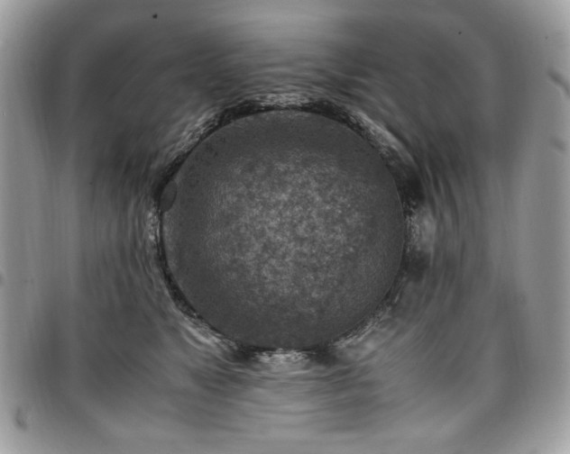 X0000096940517200802081209