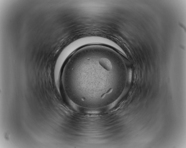X0000096940520200802081209