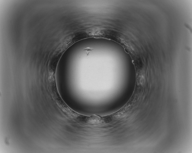 X0000096940521200802081209