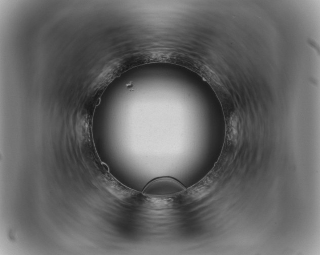 X0000096940522200802081209