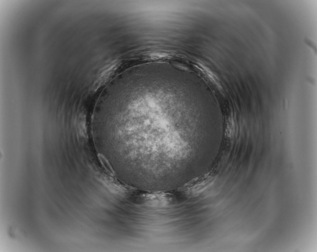 X0000096940524200802081209