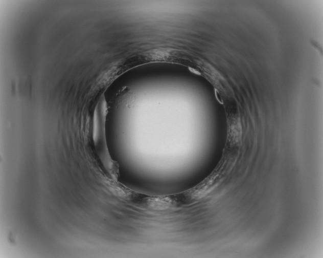 X0000096940525200802081209