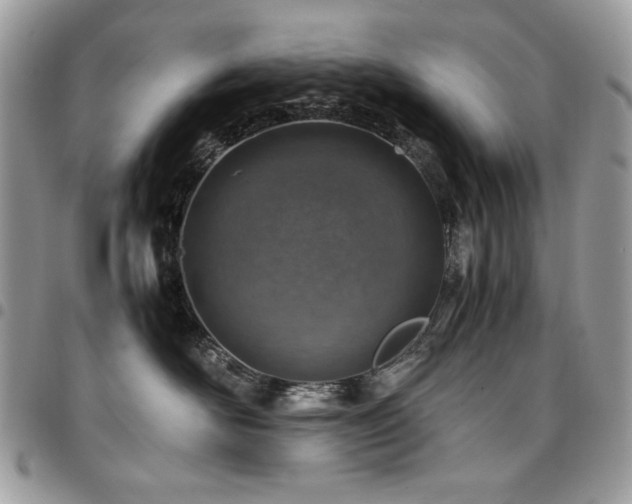 X0000096940526200802081209