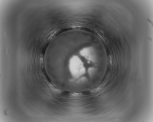 X0000096940527200802081209