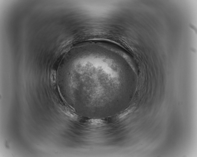X0000096940528200802081209
