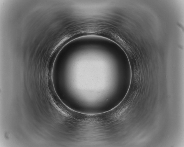 X0000096940530200802081208