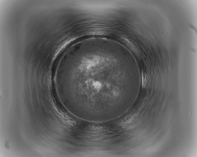 X0000096940531200802081208