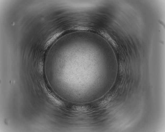 X0000096940533200802081208