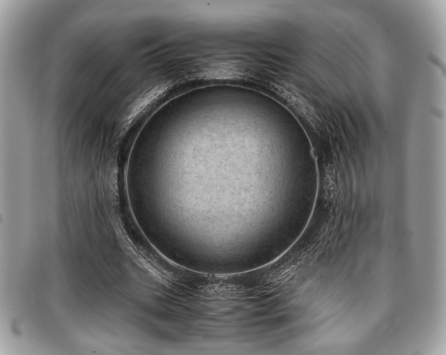 X0000096940535200802081208