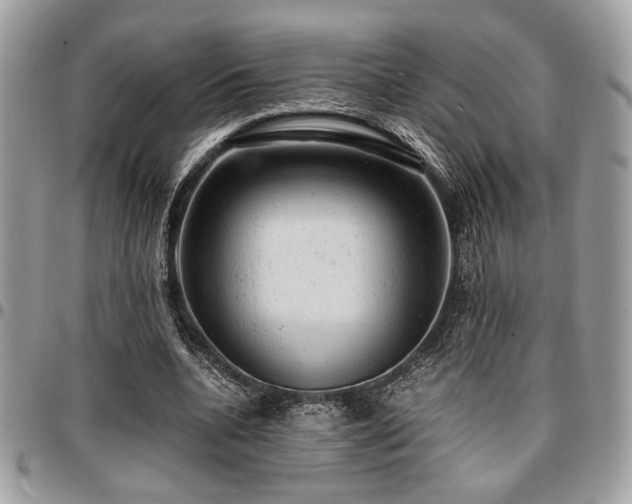 X0000096940536200802081208