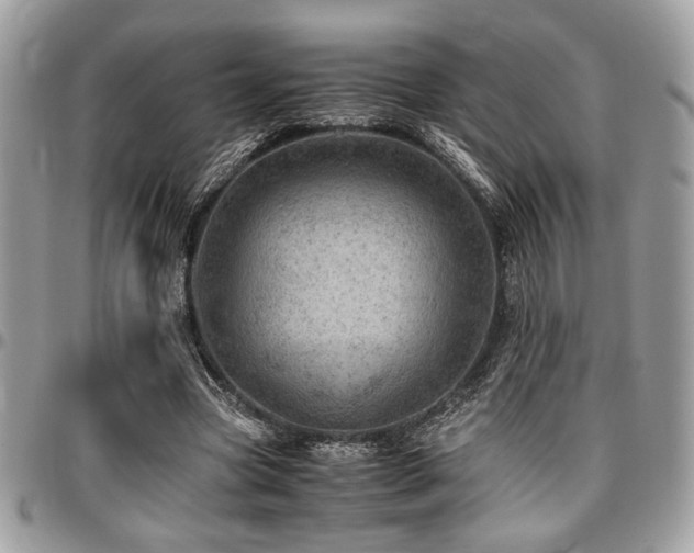 X0000096940537200802081208