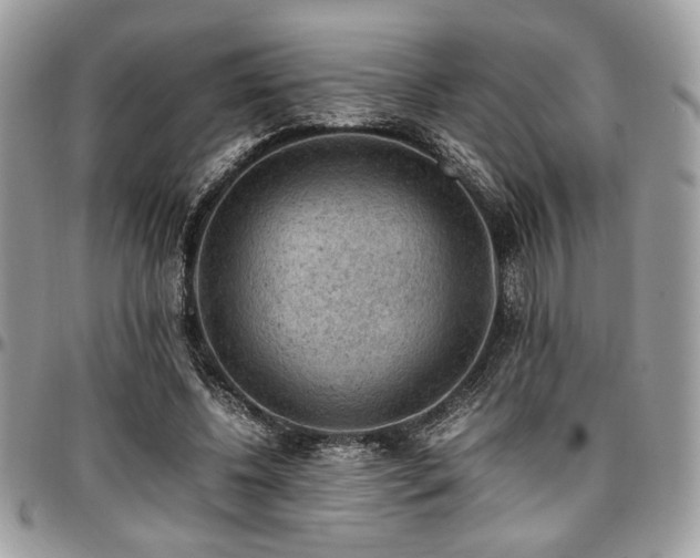 X0000096940540200802081208