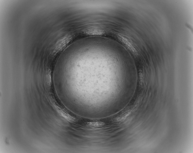 X0000096940541200802081208