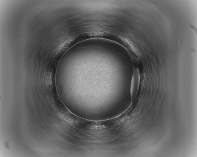 X0000096940543200802081208