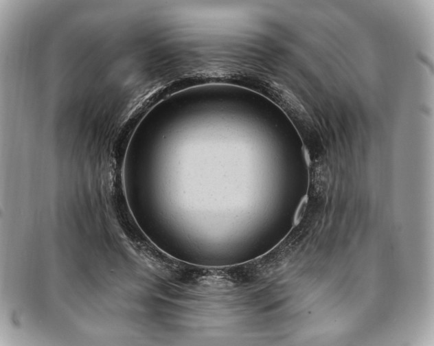 X0000096940544200802081208