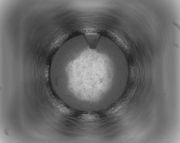 X0000096940545200802081208