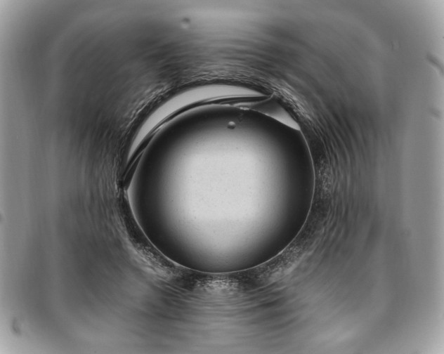 X0000096940546200802081208