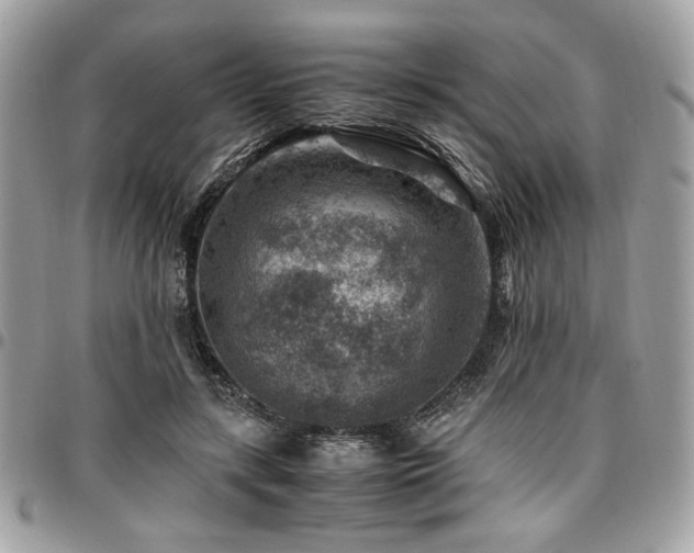 X0000096940547200802081208