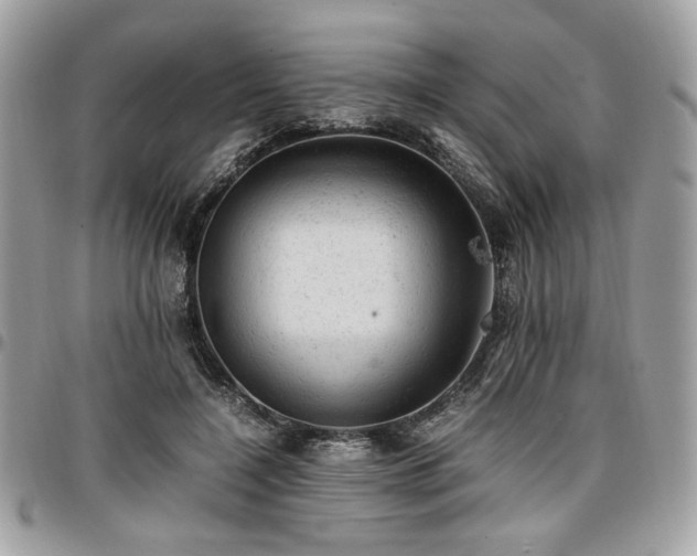 X0000096940548200802081208