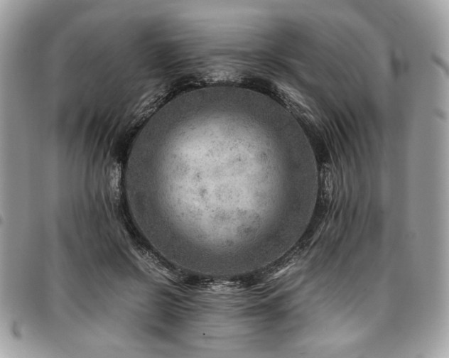 X0000096940550200802081208