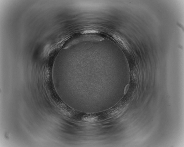 X0000096940551200802081208