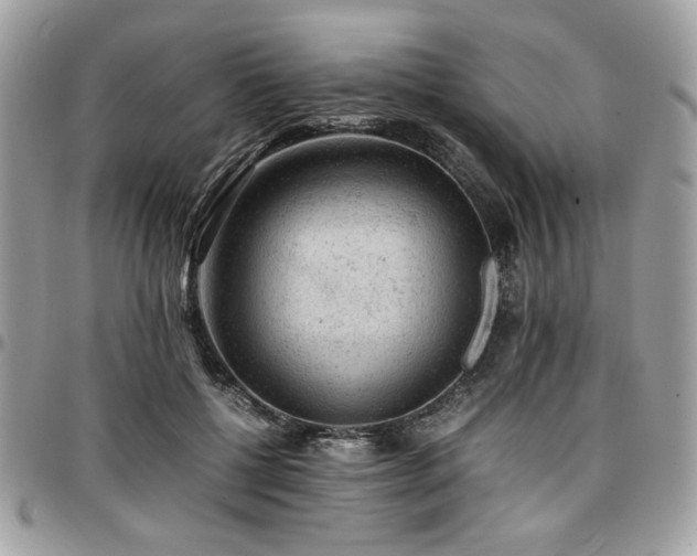 X0000096940552200802081208