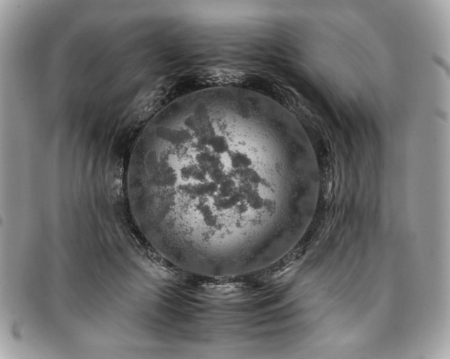 X0000096940553200802081208