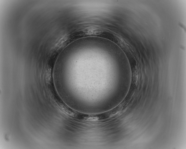 X0000096940554200802081208