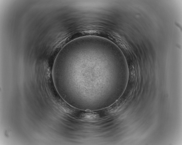 X0000096940555200802081208