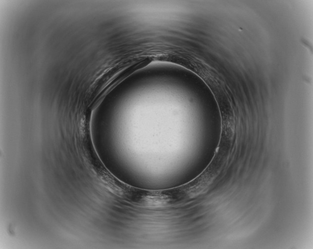 X0000096940556200802081208