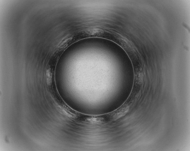 X0000096940558200802081208