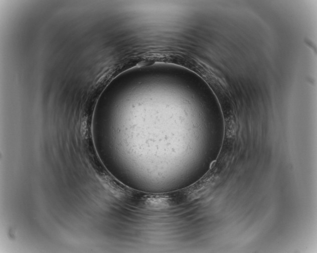 X0000096940560200802081208