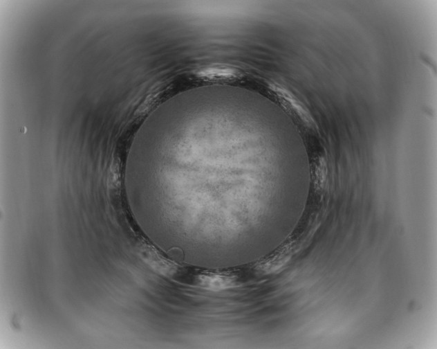 X0000096940561200802081208