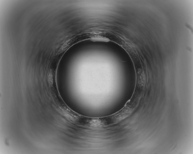 X0000096940562200802081208