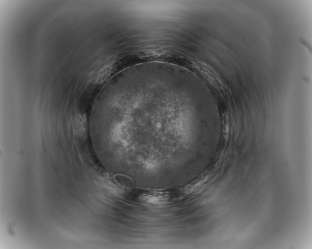 X0000096940563200802081208