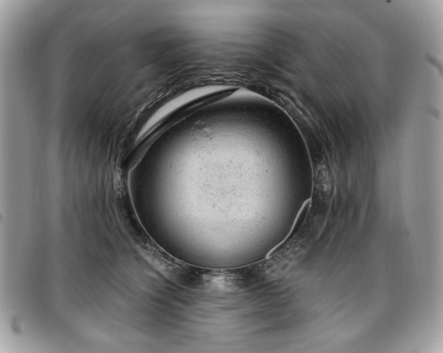 X0000096940564200802081208