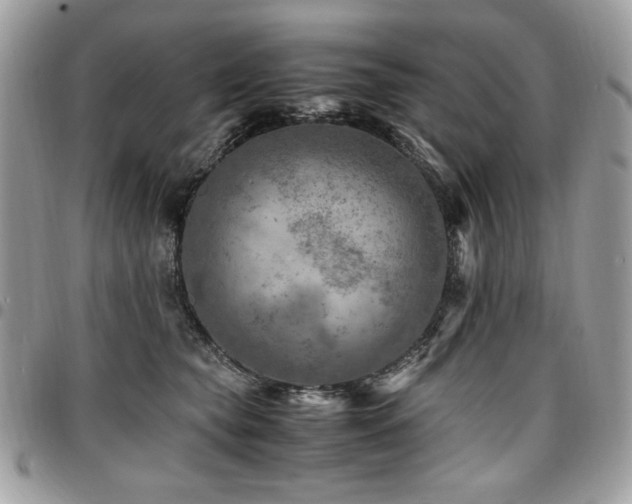 X0000096940565200802081208
