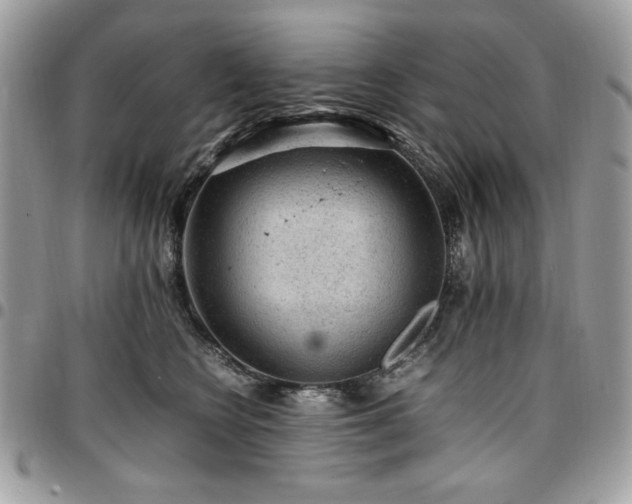 X0000096940566200802081209