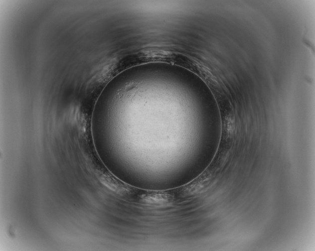 X0000096940567200802081209