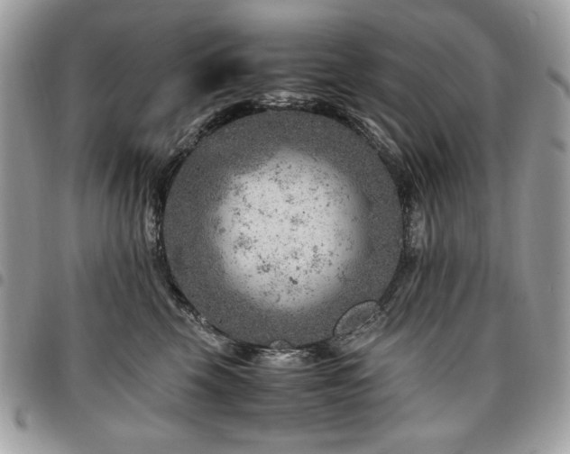 X0000096940569200802081209