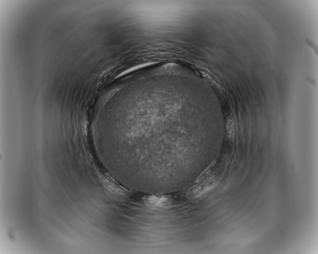 X0000096940570200802081209