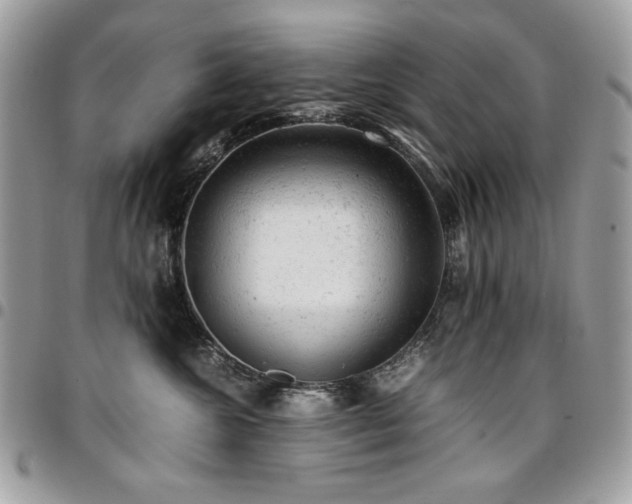 X0000096940572200802081209