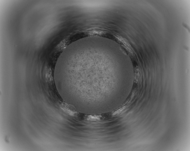 X0000096940573200802081209