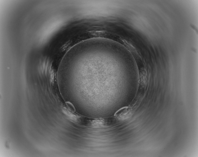 X0000096940574200802081209